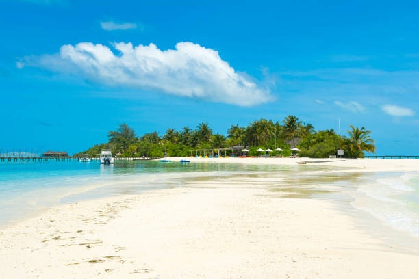 istock Beautiful bay and sandy beach, Maldives island 816977030