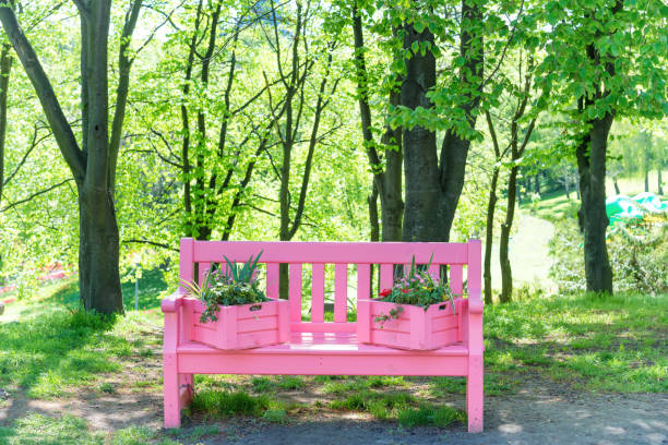 istock Pink bench in the green park 816992582