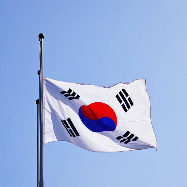 istock Korean Flag waving in wind 817031952