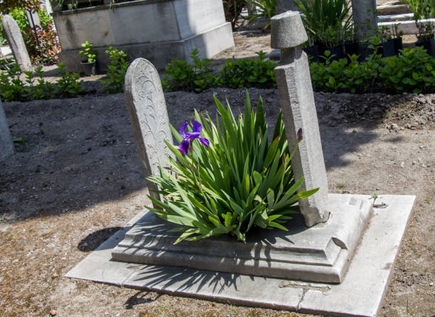 istock Old stones on the graves in Istanbul 817036430