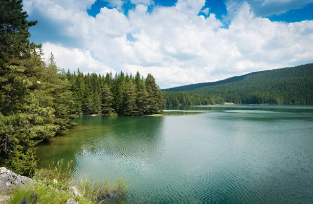 istock Black Lake in Durmitor national park, Montenegro 817036548