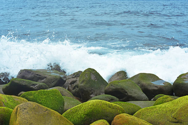 Group of stones near Atlantic ocean coast. On Summer cloudy day.