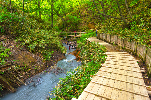 Small group of people having footbath in river, hot water spring in the forest. Long, wooden footpath along the river. Oyunuma Brook Natural Footbath, Noboribetsu on Hokkaido, Japan