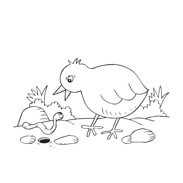 ilustrações de stock, clip art, desenhos animados e ícones de cartoon cute chicken with worm. - walking bird teamwork water bird