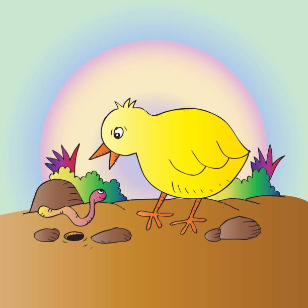 ilustrações de stock, clip art, desenhos animados e ícones de cartoon cute chicken with worm. - walking bird teamwork water bird