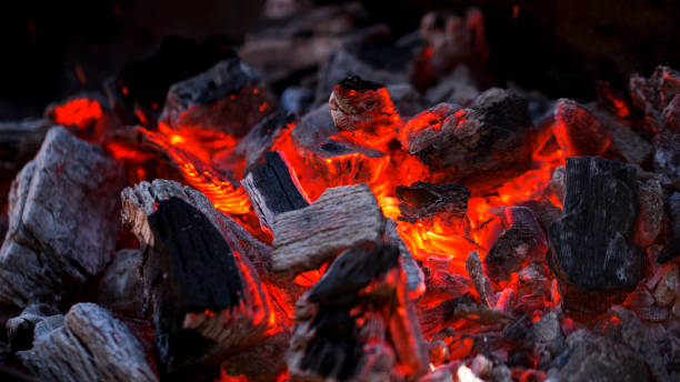 carbón de incendios - char grilled fire coal heat fotografías e imágenes de stock