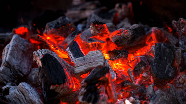 pożar węgla drzewnego - char grilled fire coal heat zdjęcia i obrazy z banku zdjęć