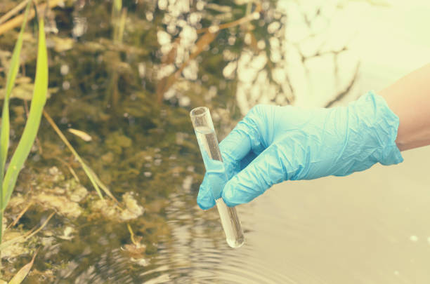 istock Taking a water test for analysis from a reservoir. 817071862