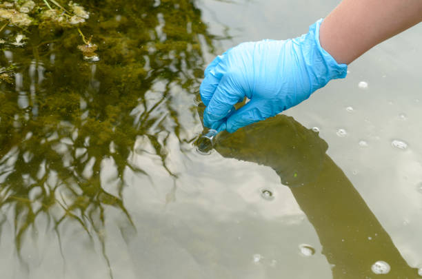 istock Taking a water test for analysis from a reservoir. 817076884