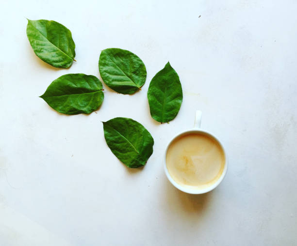 Coffee and green leaves on white background.
