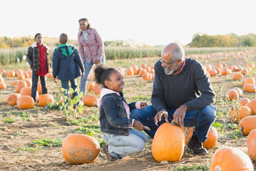 A 5 year old Hispanic boy playing in a pumpkin patch. He is surrounded by pumpkins, looking at the camera, laughing and shouting.