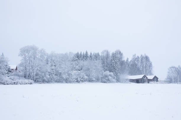 istock Snowy landscape countryside 817110790