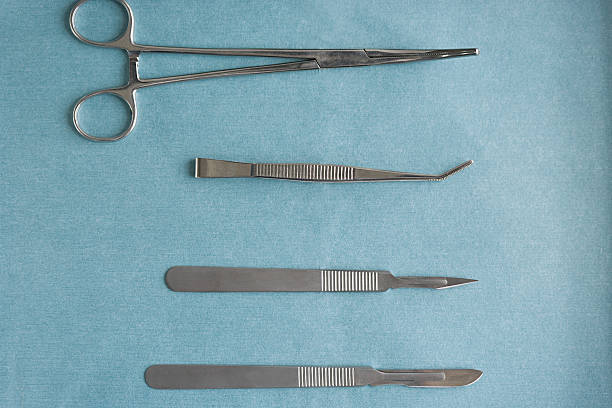 Surgical equipment  forceps stock pictures, royalty-free photos & images