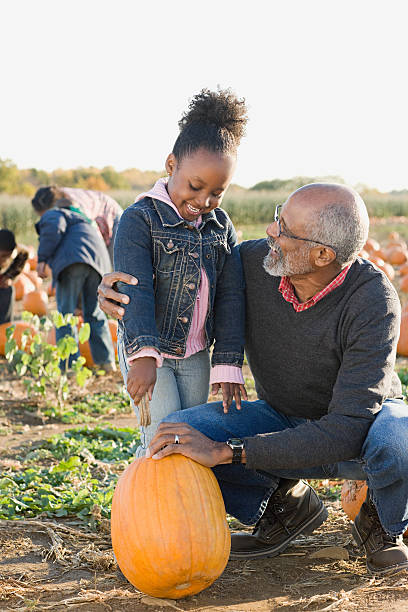 a dziadek i jego wnuczka podziwiać dynia - pumpkin child little girls pumpkin patch zdjęcia i obrazy z banku zdjęć