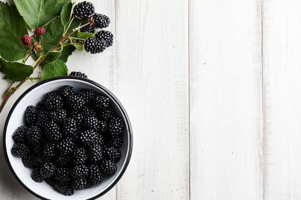 istock Bowl of fresh blackberries on stone background 817121720