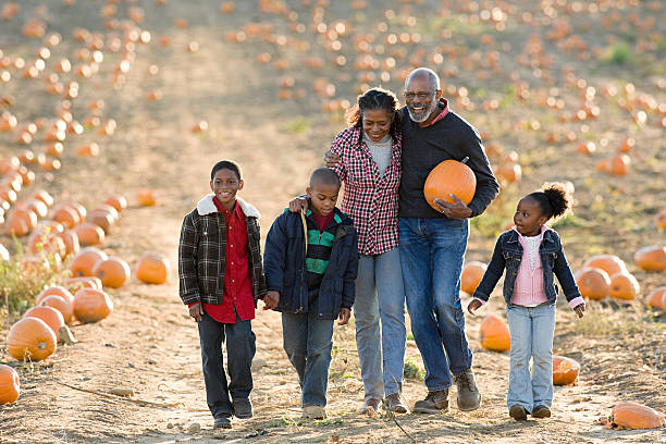 una famiglia a piedi attraverso un campo di pumpkins - pumpkin child little girls pumpkin patch foto e immagini stock