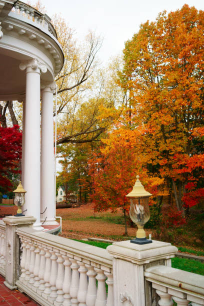 istock Allegany State Park of the fall 817130824