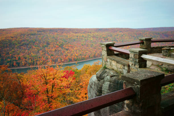Allegany State Park of the fall