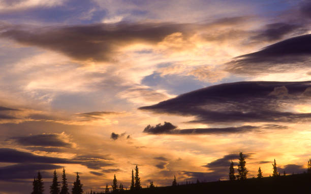 istock Alaskan Sunset In Denali National Park 817138720