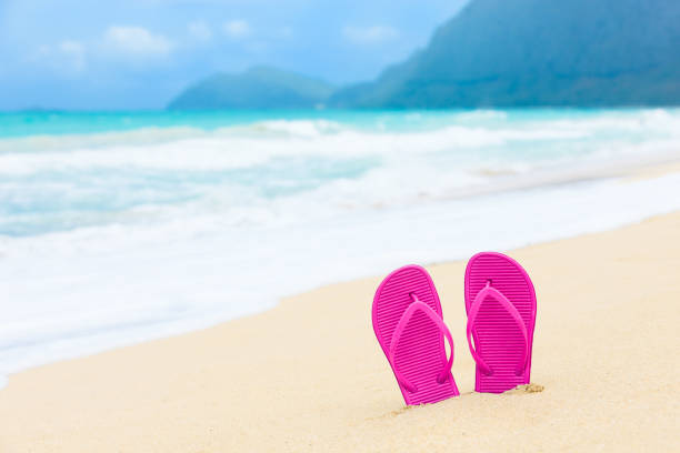 istock Pair of slippers on the beach 817147744