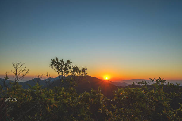 istock Beautiful landscape during the sunset in the mountains, some plants in front. Selective focus. 817152250
