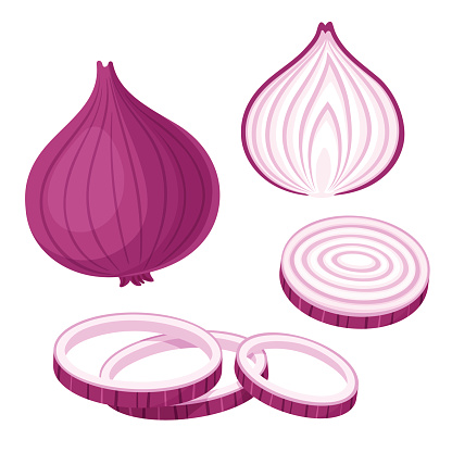 Red onion set. Cut in half, slice and onion rings. Isolated vector illustration.