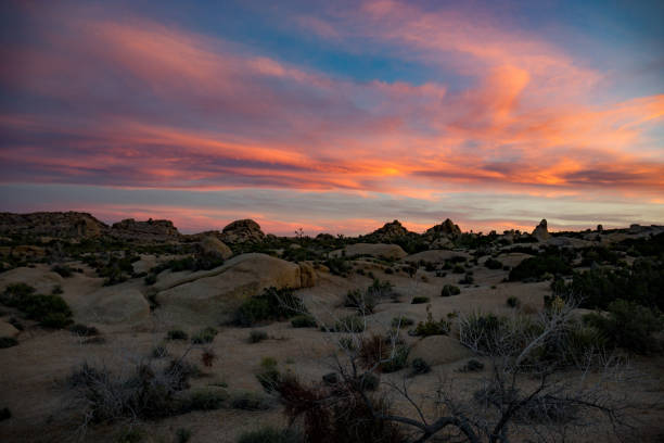 istock Sunset over the Mojave Desert 817166982