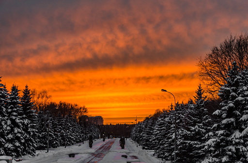 Orange sunset sky on a winter day in Moscow, Russia