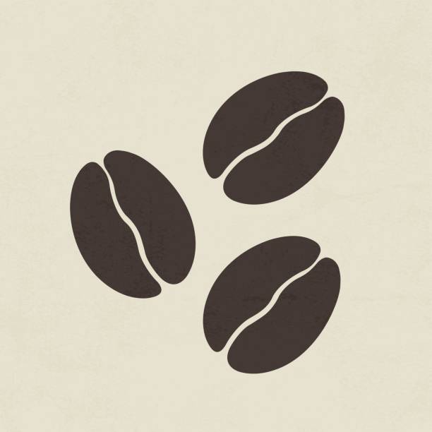 illustrations, cliparts, dessins animés et icônes de icône de grains de café - coffee bean coffee crop espresso mocha