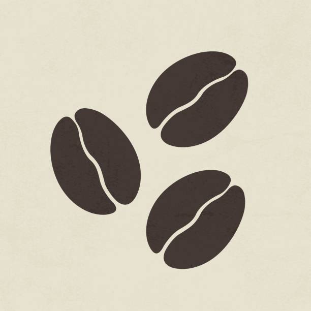 커피 원두 아이콘크기 - raw coffee bean stock illustrations