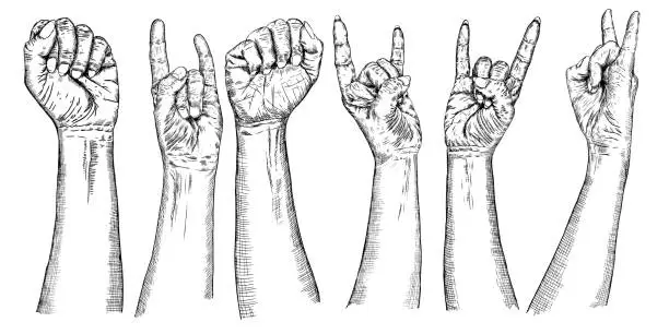 Vector illustration of Set of human palm raised up. Collection of girl and man hands in different gestures emotions and signs. Woman and man wrist with Rock and Roll music or Heavy Metal gesture. Vector.