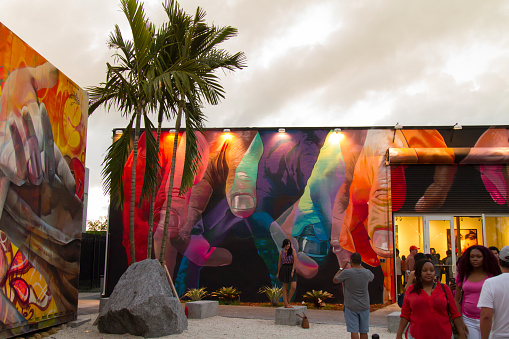 Miami, FL, USA - December 27, 2015: Art Murals at Wynwood in Miami, USA. Wynwood is a neighborhood in Miami Florida which has a strong art culture presence and murals can be seen everywhere.