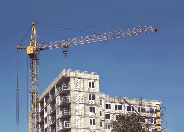 istock image of yellow crane 817198688