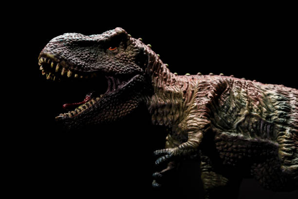 istock tyrannosaurus toy on a dark background 817198718