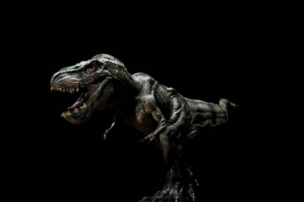 istock tyrannosaurus toy on a dark background 817198742