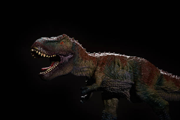 istock tyrannosaurus toy on a dark background 817200756