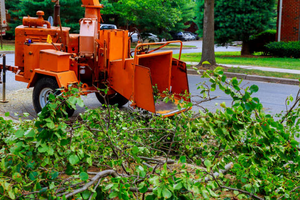 istock Agricultural machinery, wood shredder 817203332