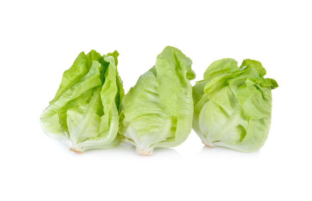 istock fresh butter head lettuce on white background 817223390