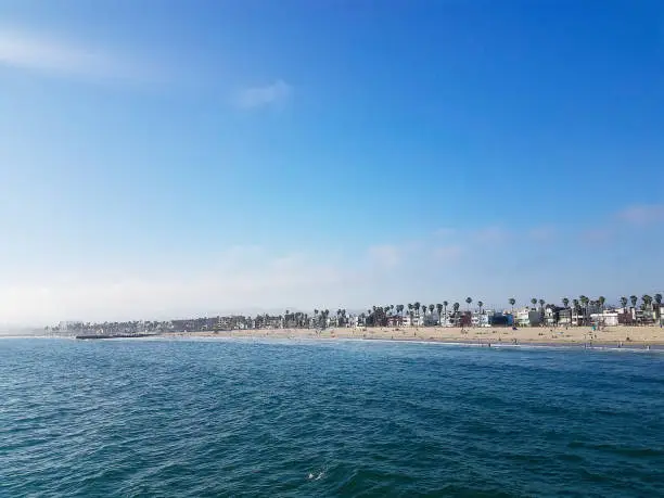 View of Venice beach lined with palm trees, beach houses, and people enjoying a sunny day.