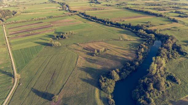 istock Aerial view of river bending across fields at sunset. 817226398
