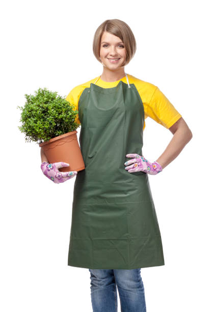 istock woman professional gardener isolated on white background 817233950