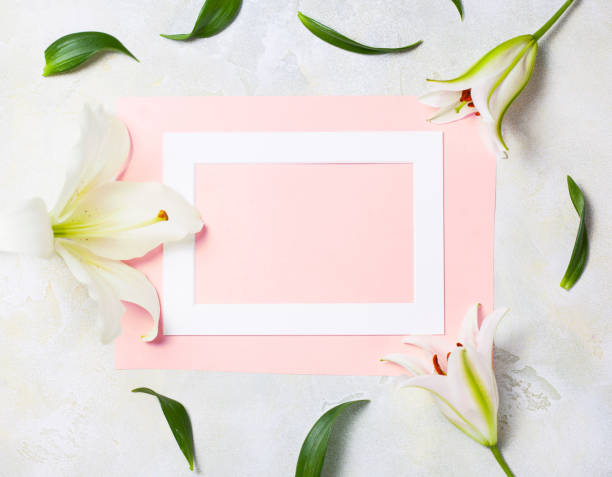 istock white wooden frame on pink background decorated with bright flowers, blank space for a text. Top view, flat lay 817236282