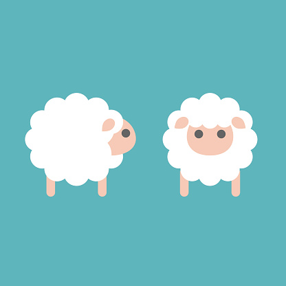 set of sheep icon in side and front