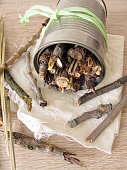 hausgemachte-insektenhotel-aus-blechdosen-zweigen-und-stroh.jpg?b=1&s=170x170&k=20&c=lzokMq9jgxm0-5W4Vde9ph4ZrmU1MjNj1OqPGjkeBr0=