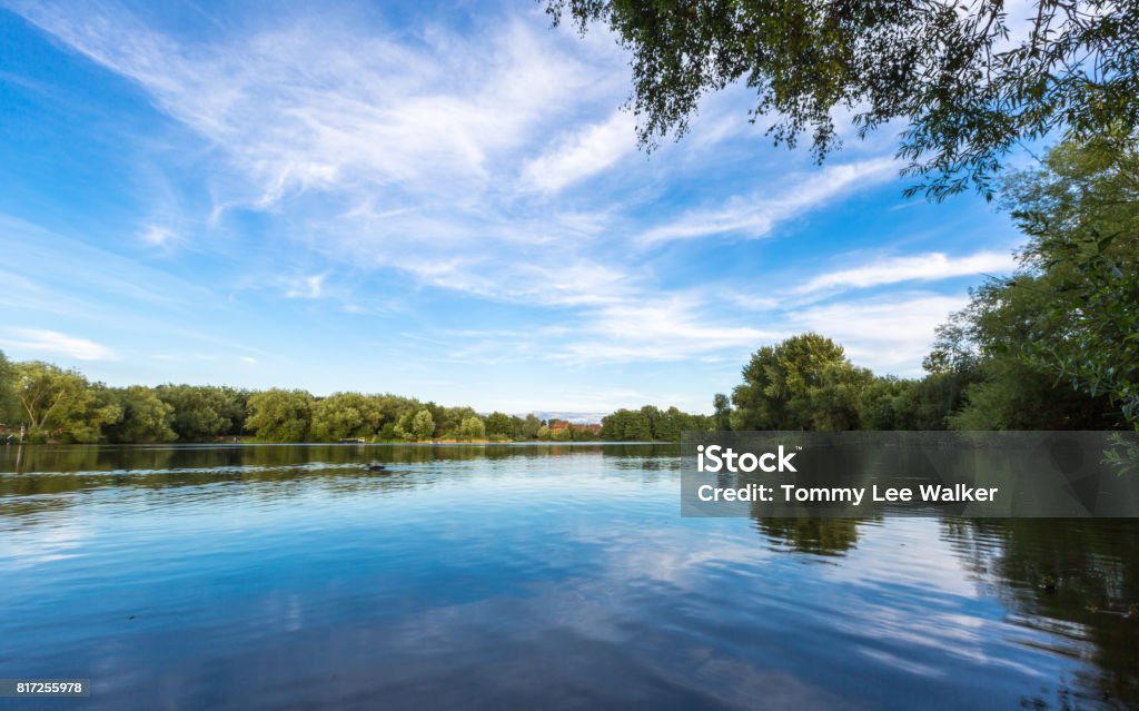 Goldsworth Parque Lago en verano. - Foto de stock de Inglaterra libre de derechos