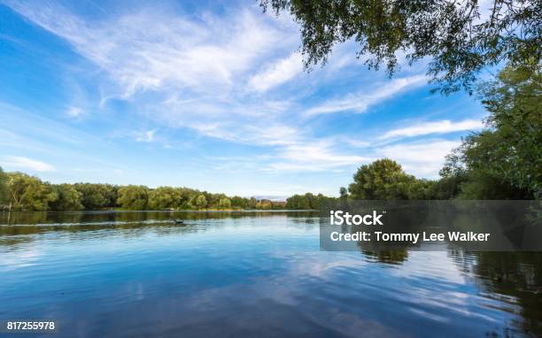 Goldsworth Parque Lago En Verano Foto de stock y más banco de imágenes de Inglaterra - Inglaterra, Río, Lago