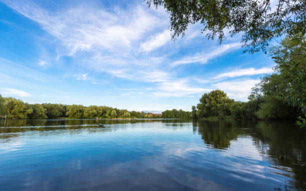 istock Goldsworth Park lake in summer time. 817255978