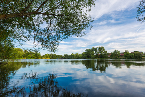 Summer lake landscape with green trees and bush, blue sky and calm water in Goldsworth Park, Woking, Surrey, England. Horizontal low wide angle perspective