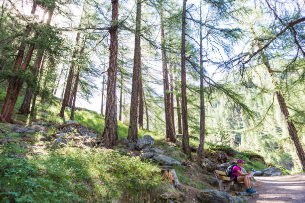 istock Female hiker stops to view map 817264274