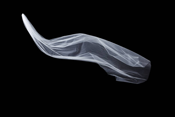 istock wedding white Bridal veil isolated on black background 817276602